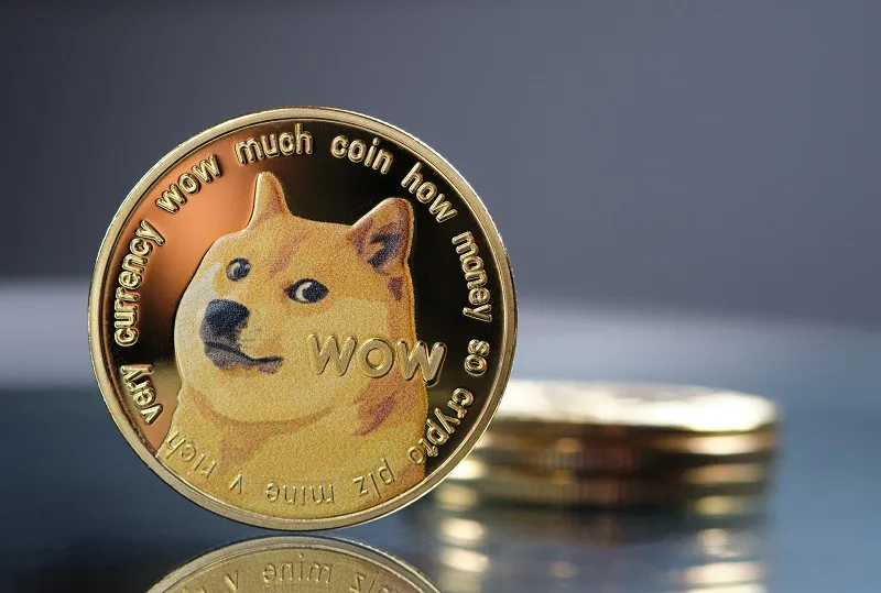 dogecoin review